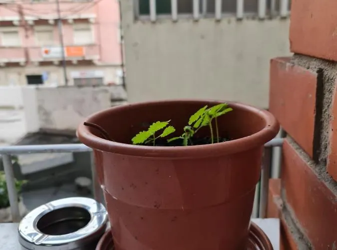 Shangri-la Anjos Bed and breakfast