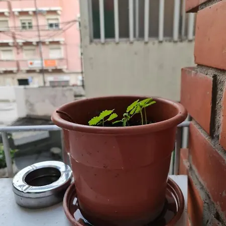 Shangri-la Anjos Frühstückspension